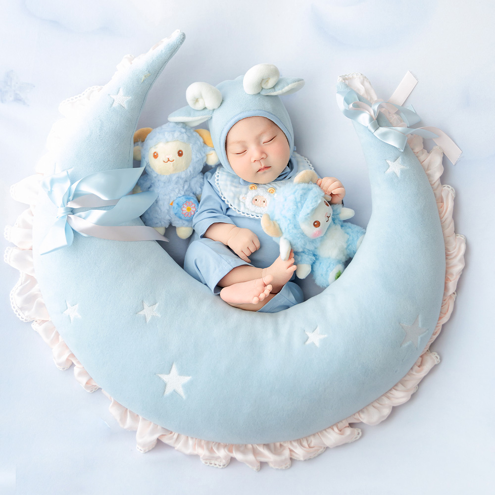 Cute Sheep Newborn Photography - đánh giá và giá Infant Photography Props Outfit